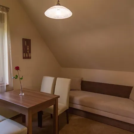 Guest house Arina Heviz