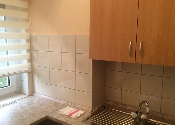 ゲストハウス Arina ヘーヴィーズ