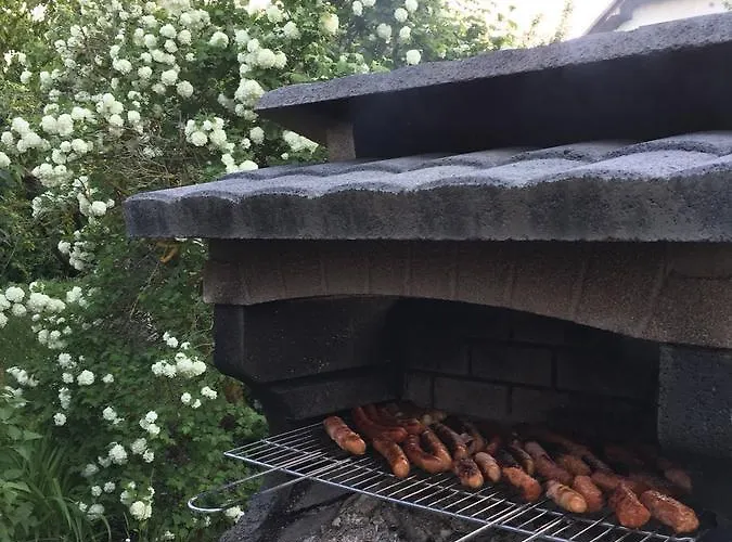 ゲストハウス Arina 4*