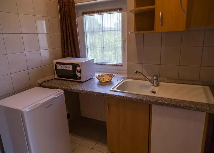 Arina ゲストハウス 4*