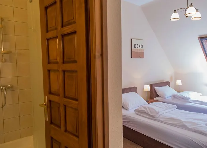 Arina ゲストハウス 4*